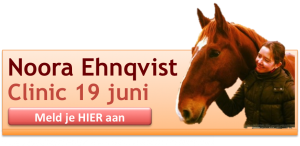 Clinic met Noora Ehnqvist 19 juni